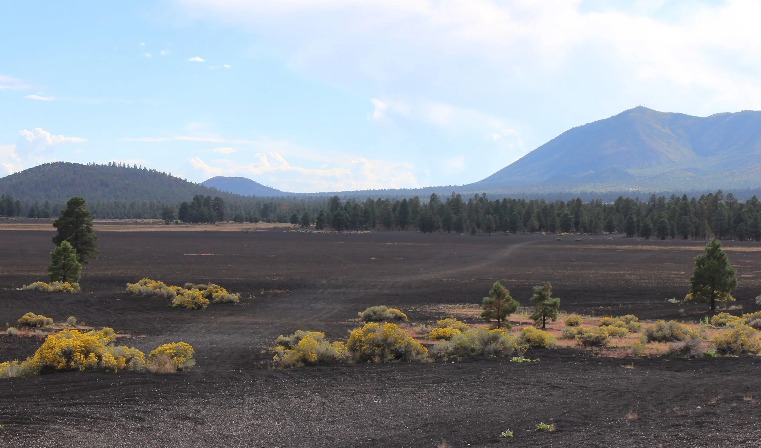 Cinder Hills OHV Area — AZOFFROAD.NET